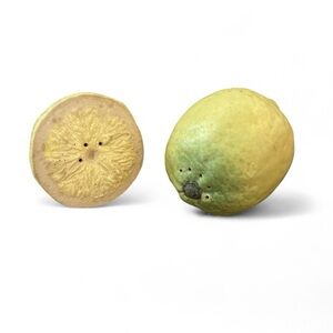 Lemon-Shaped Salt and Pepper Shakers - Rare Vintage